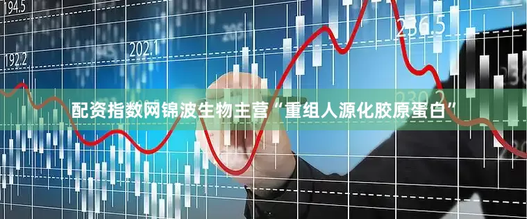 配资指数网锦波生物主营“重组人源化胶原蛋白”
