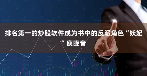 排名第一的炒股软件成为书中的反派角色“妖妃”庾晚音