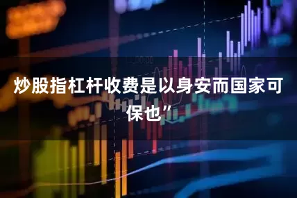 炒股指杠杆收费是以身安而国家可保也”