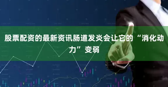 股票配资的最新资讯肠道发炎会让它的 “消化动力” 变弱