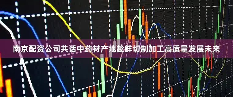 南京配资公司共话中药材产地趁鲜切制加工高质量发展未来