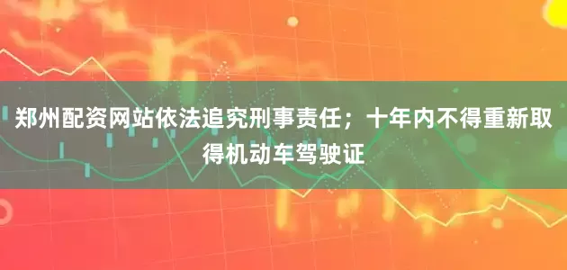 郑州配资网站依法追究刑事责任；十年内不得重新取得机动车驾驶证